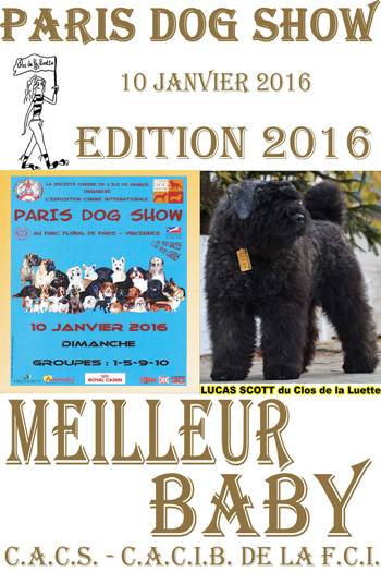 LUCAS SCOTT Paris dog show Bouvier des flandres du clos de la Luette © copyright